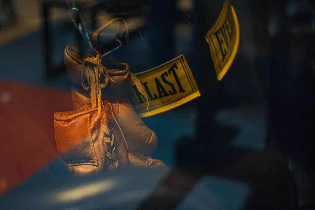Top 5 Best Sellers Everlast